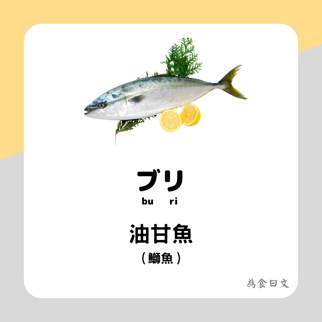 油甘魚 油甘魚的日文是 丨壽司刺身 宅宅の日語手帳